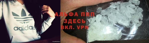 стафф Баксан