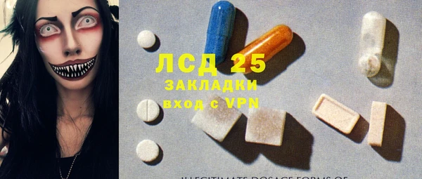 ГАЛЛЮЦИНОГЕННЫЕ ГРИБЫ Балахна