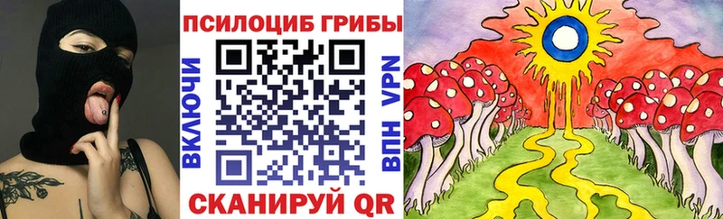 даркнет официальный сайт  Ессентукская  Галлюциногенные грибы MAGIC MUSHROOMS 