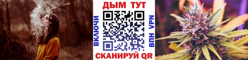 Бошки марихуана VHQ Ессентукская